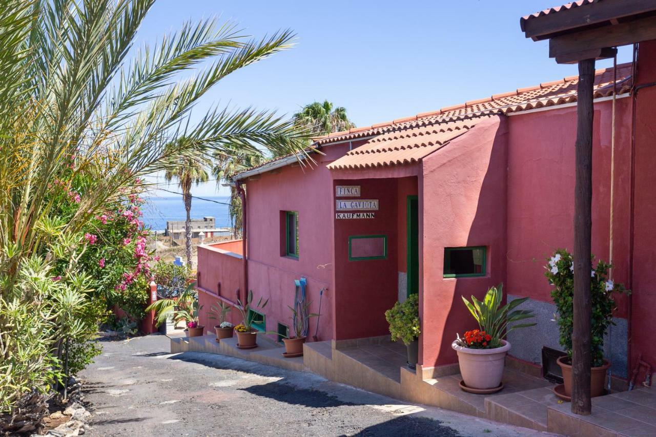 Finca La Gaviota - El Rincon Икод-де-лос-Винос Экстерьер фото